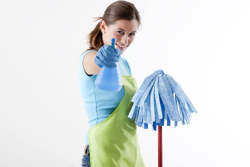 Carpet cleaning service for a home in SE1