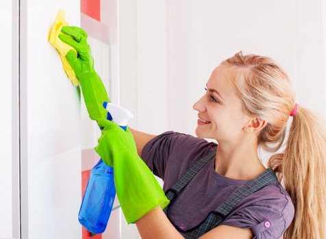 Gutter cleaning on SE1 residential and commercial properties