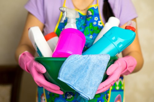 Illustration for Carpet Cleaners SE1 cookie policy introduction