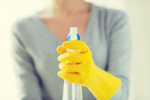 Carpet cleaning team providing professional service in SE1