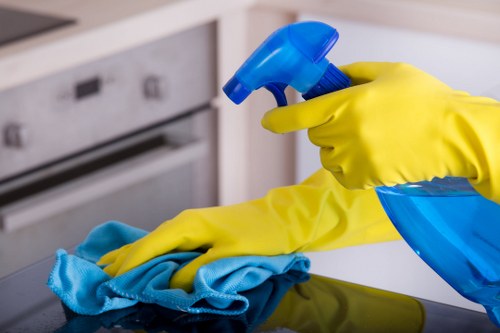 Window cleaning service for SE1 homes and flats in central London