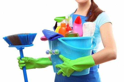 Local regular cleaning service for homes in SE1