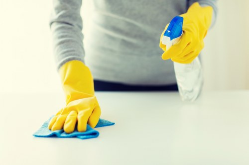 Screen-reader friendly carpet cleaners information in SE1