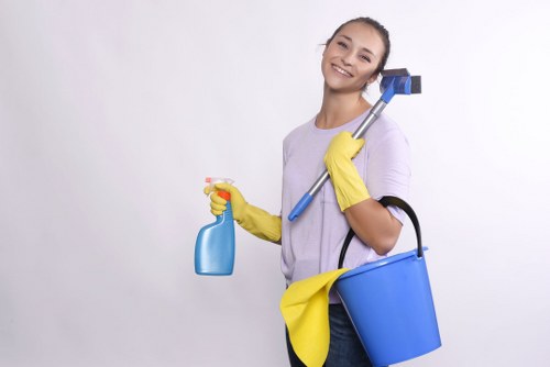 Bathroom deep cleaning in a SE1 home