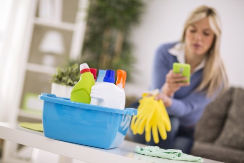 Professional cleaning visit for a SE1 office space