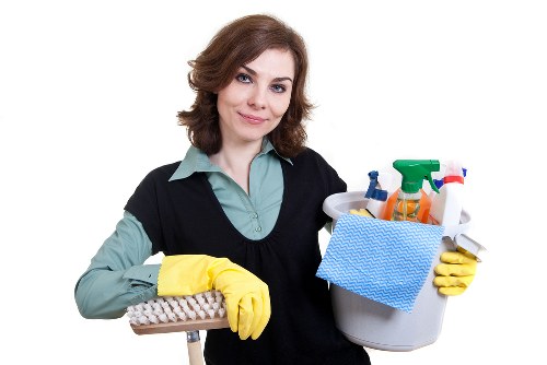 Reviewing a carpet cleaning issue with supporting notes
